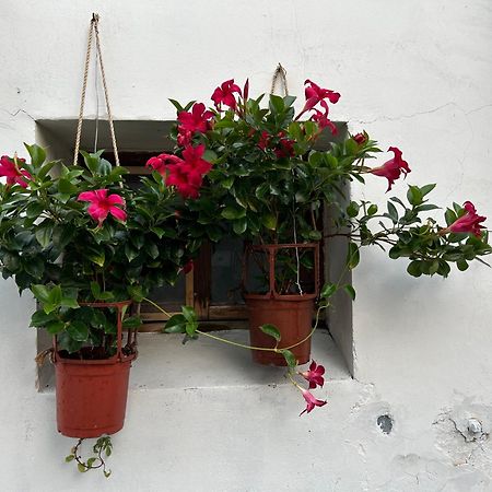 緩緩歸 Slow Living Tainan Extérieur photo