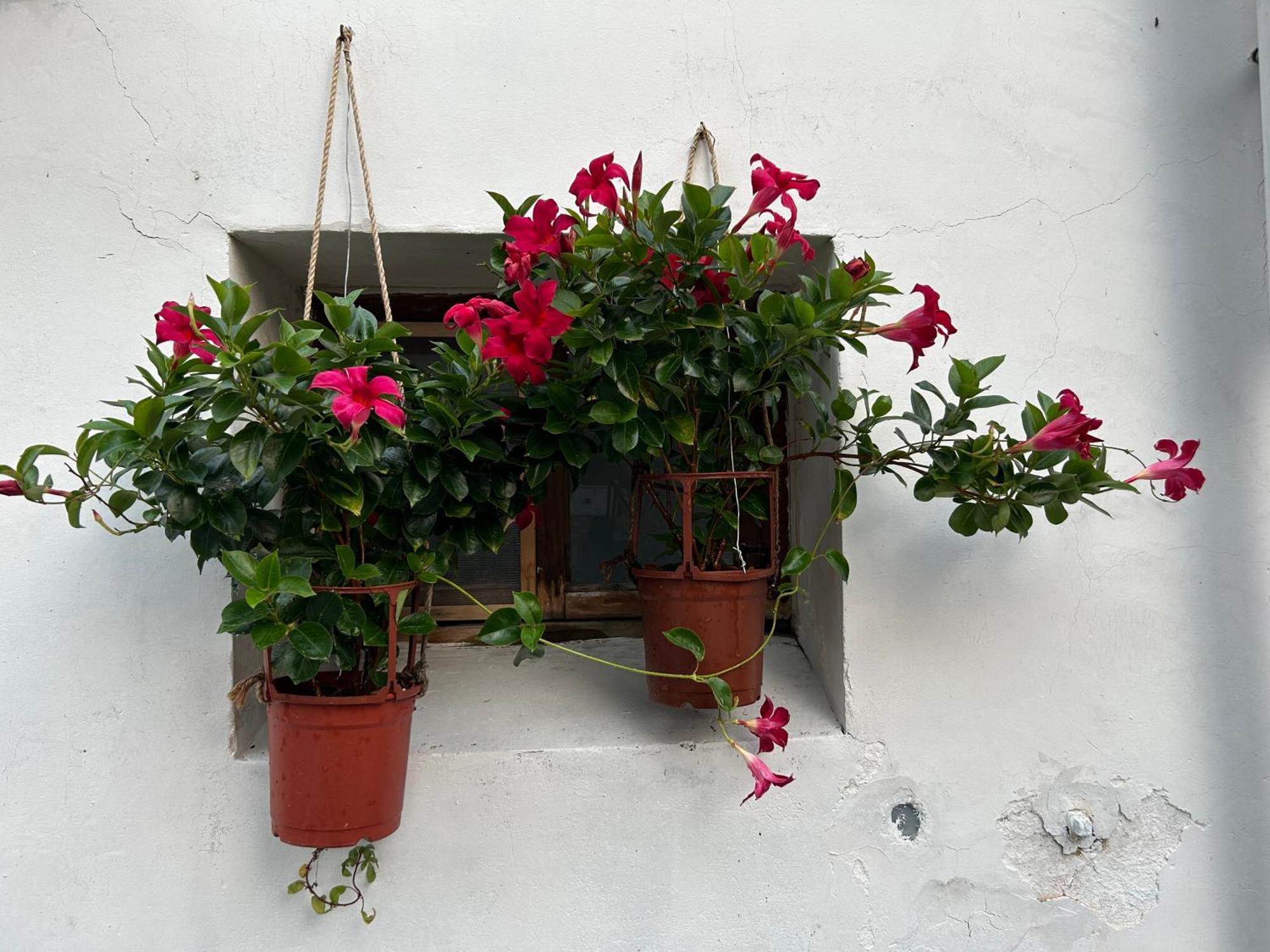 緩緩歸 Slow Living Tainan Extérieur photo